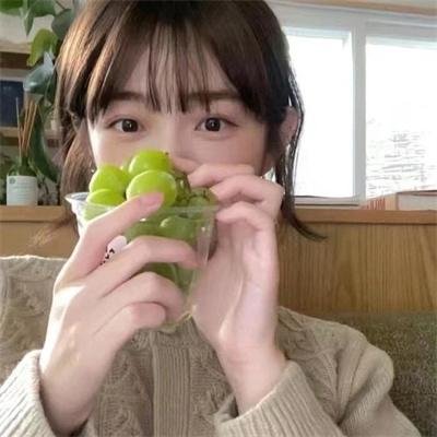 骚狐狸
